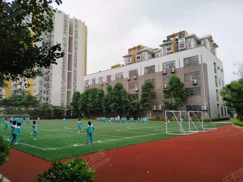 广州市天河区银河小学橡树园校区_广州学校