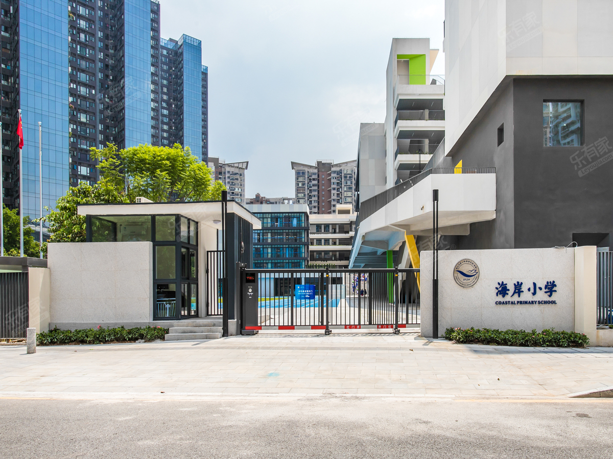 南二外海岸小学_深圳学校