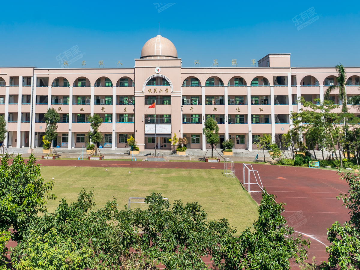 板芙镇板芙小学_中山学校