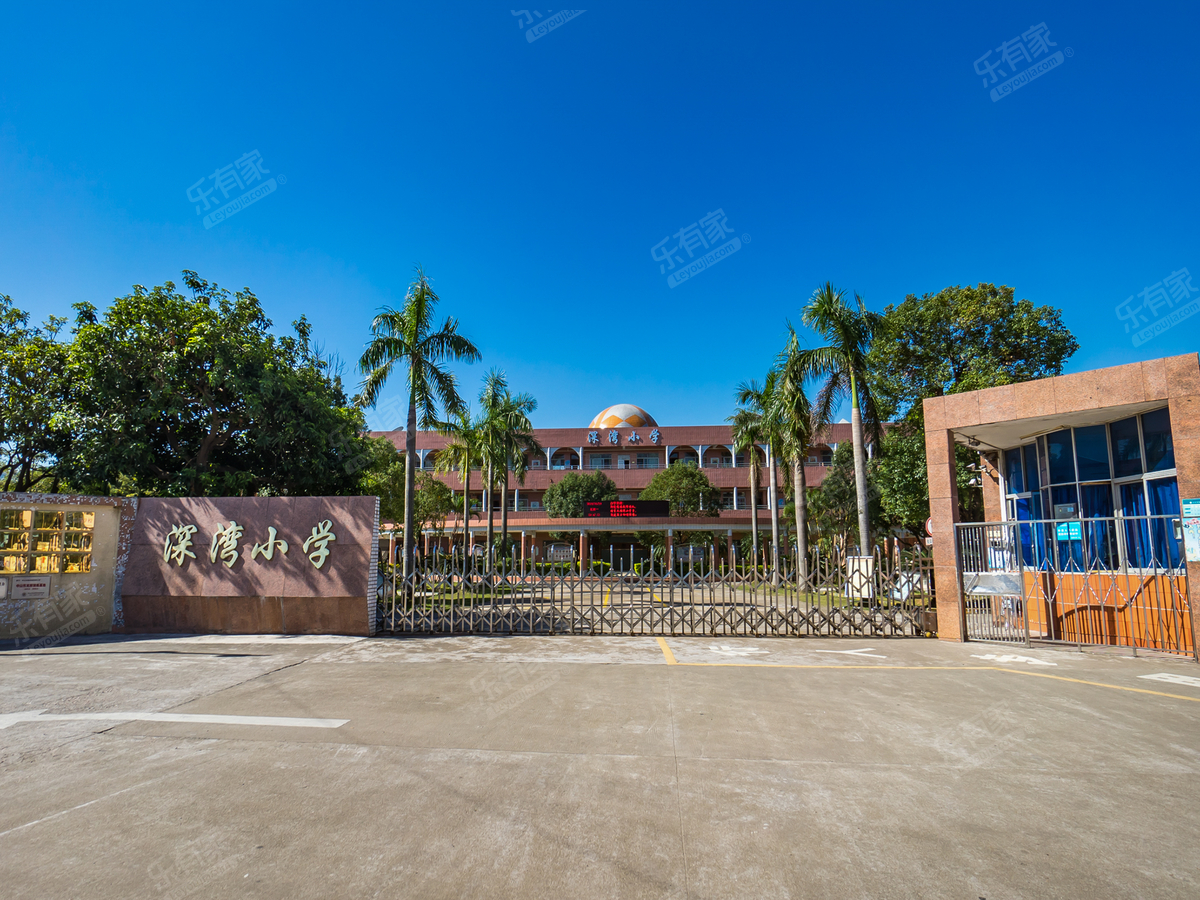 板芙镇深湾小学_中山学校
