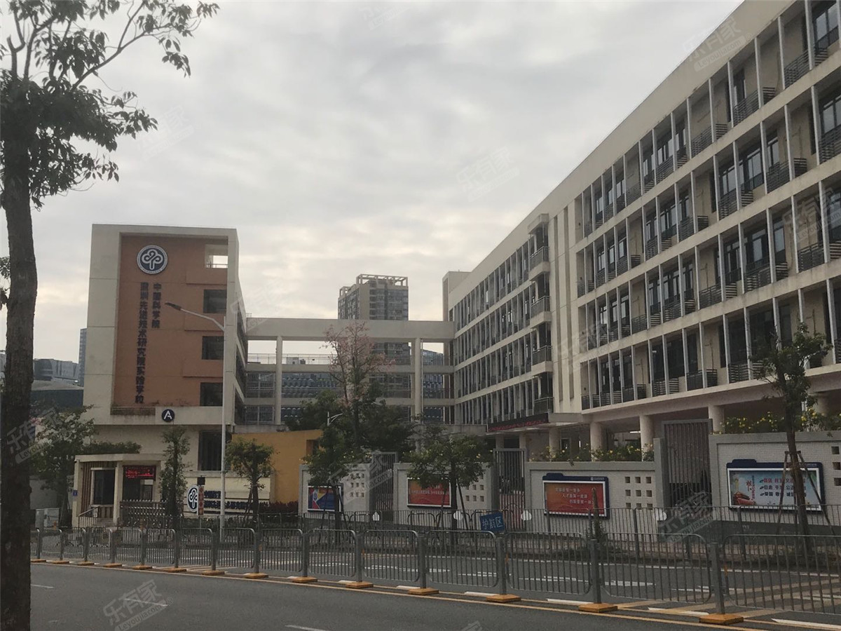 中科院深圳先进技术研究院实验学校小学部