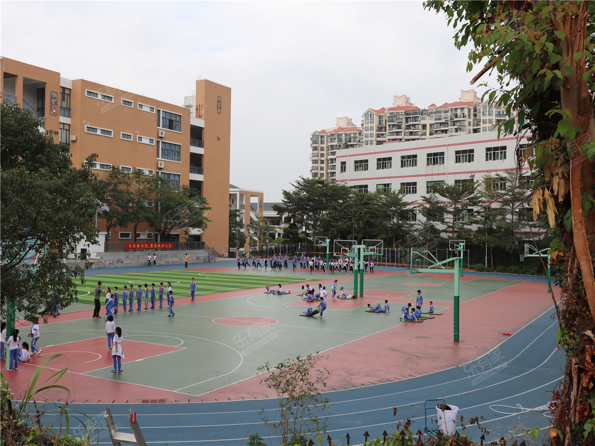 布吉街道可园学校_深圳学校