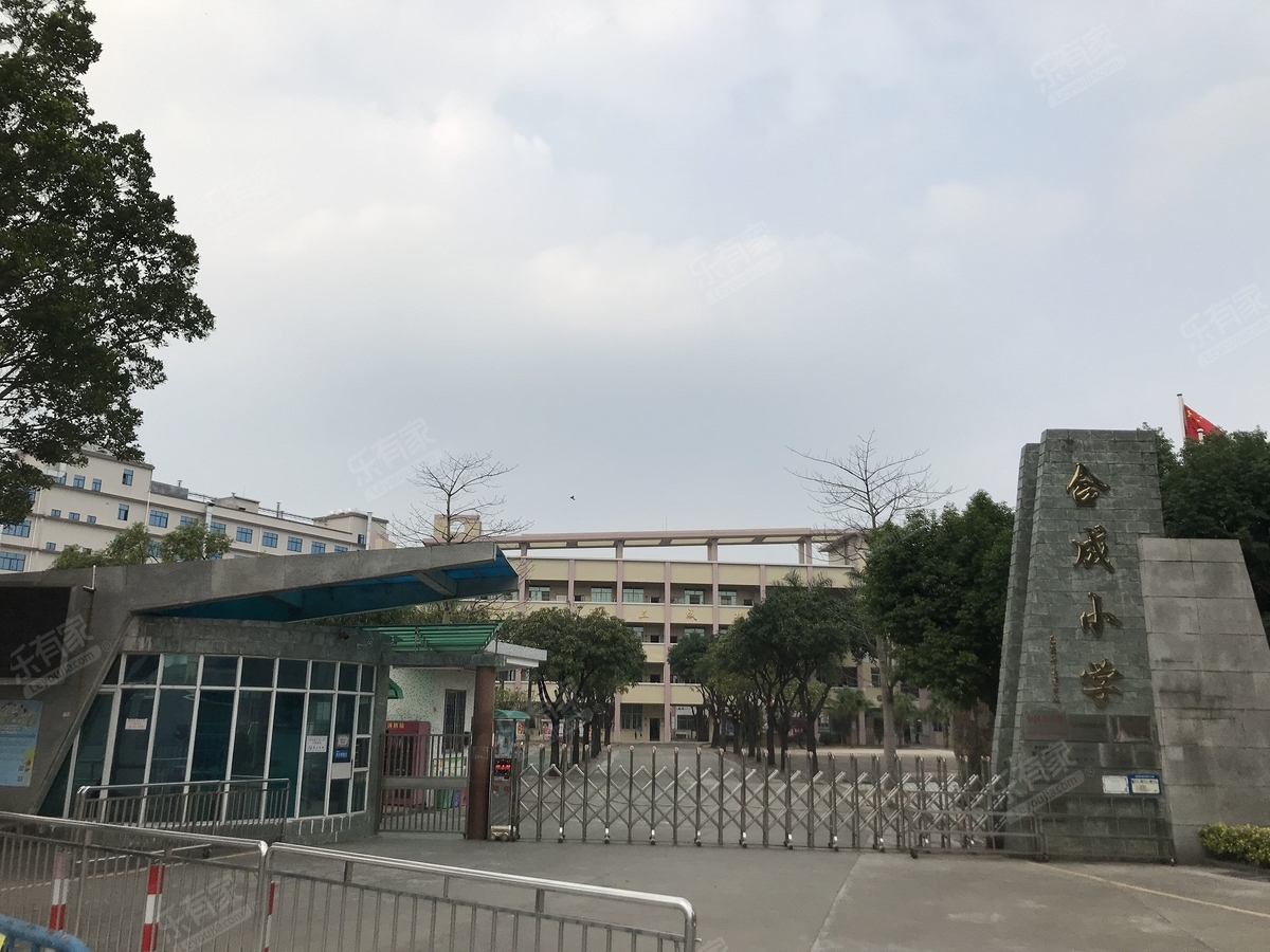 广州市花都区狮岭镇合成小学