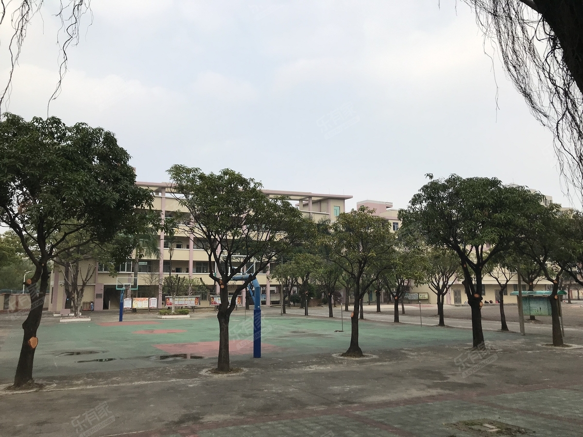 广州市花都区狮岭镇合成小学