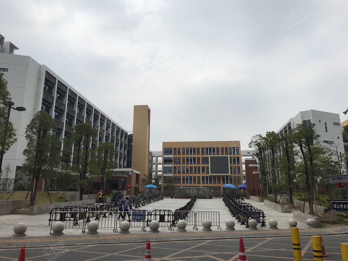 龙华区实验学校