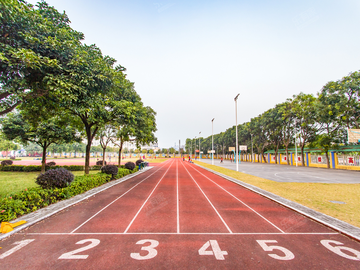 学校跑道