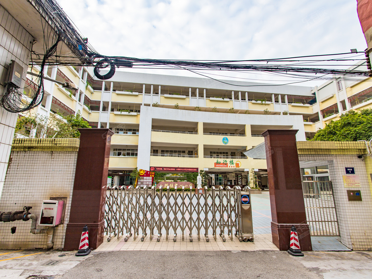 小榄镇中心小学_中山学校