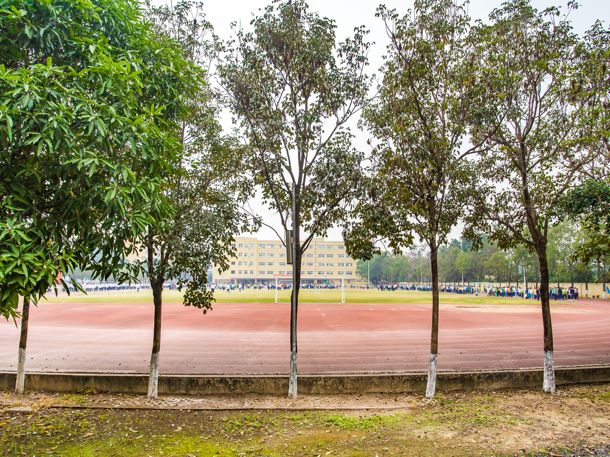 横栏中学_中山学校