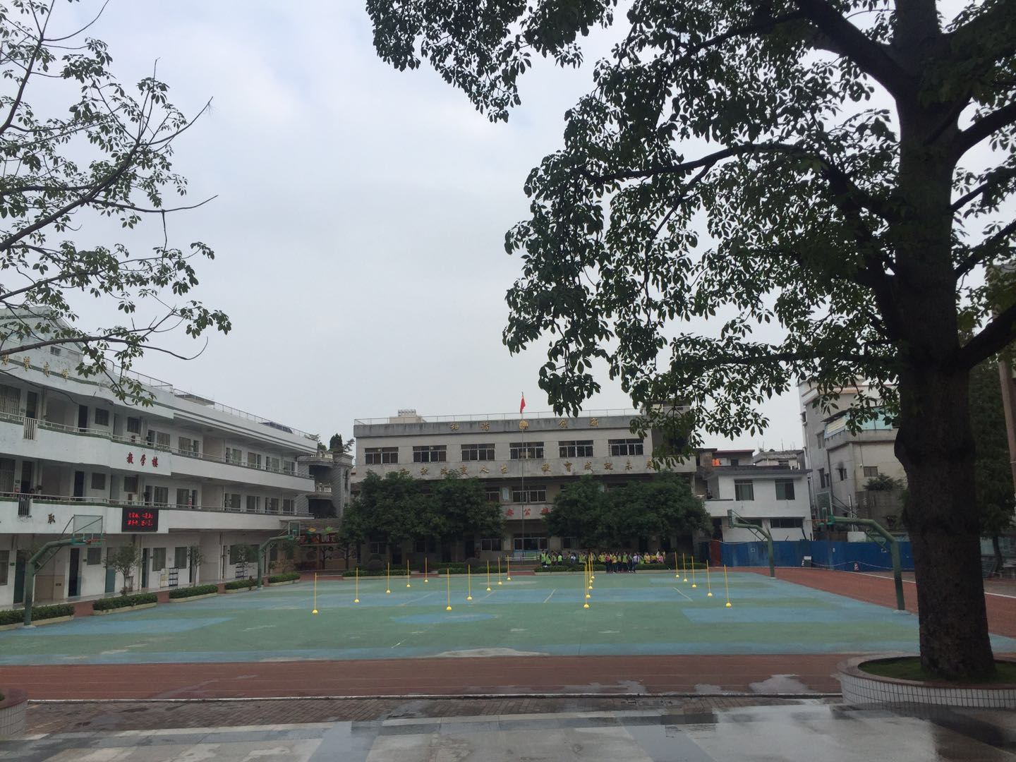 新联小学