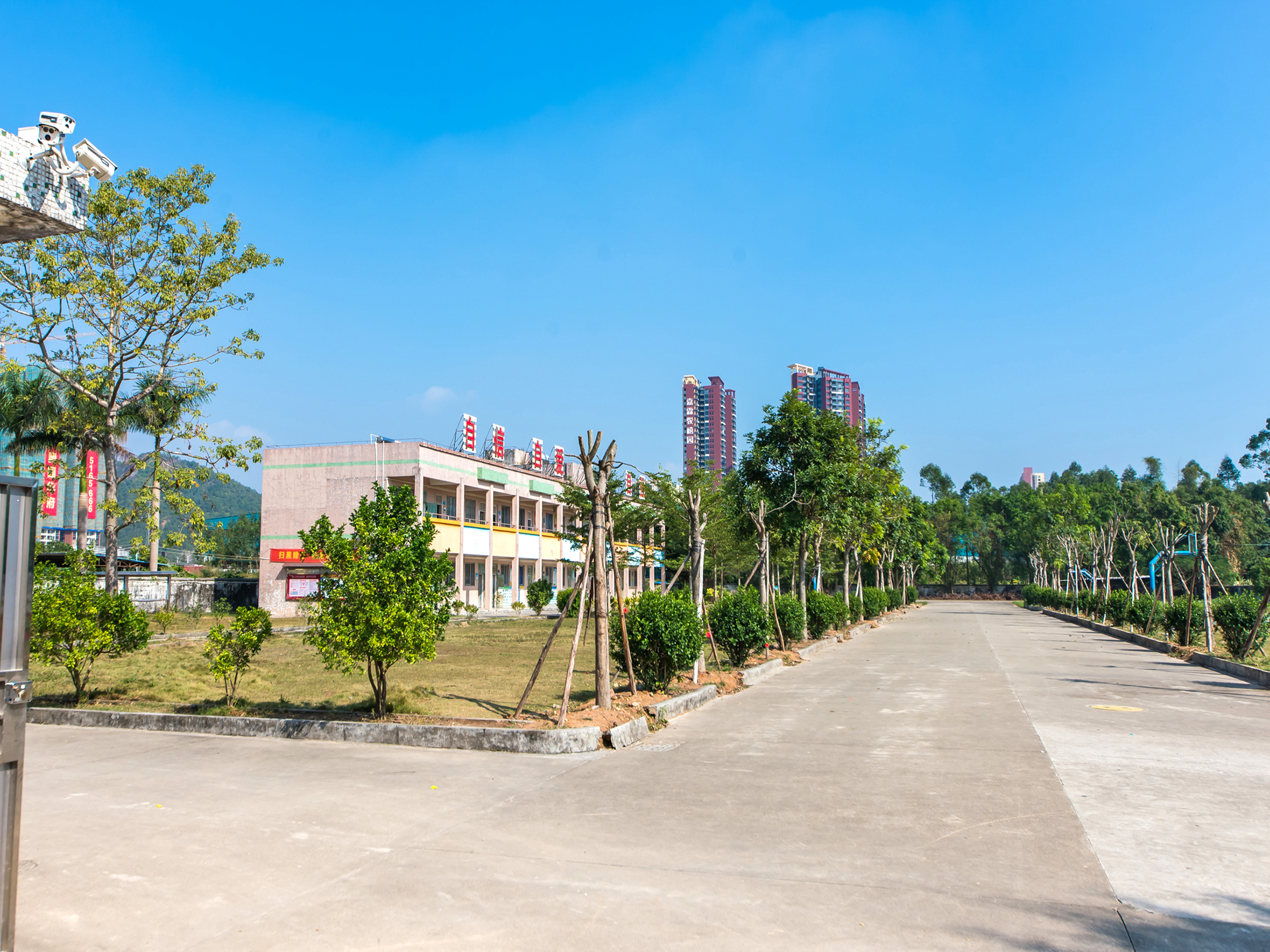 荷茶小学