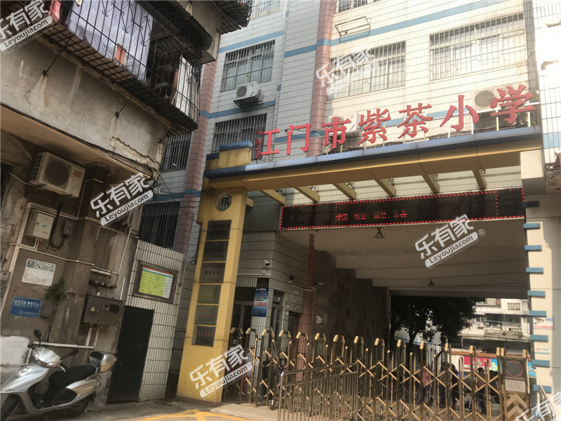 范罗岗小学紫茶路校区_江门学校