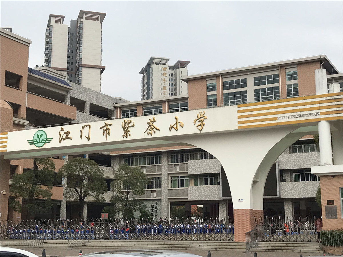 新紫茶小学_江门学校