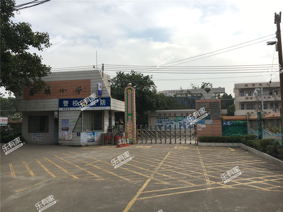 杏头小学_佛山学校