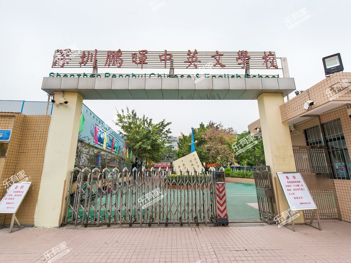 鹏晖中英文学校