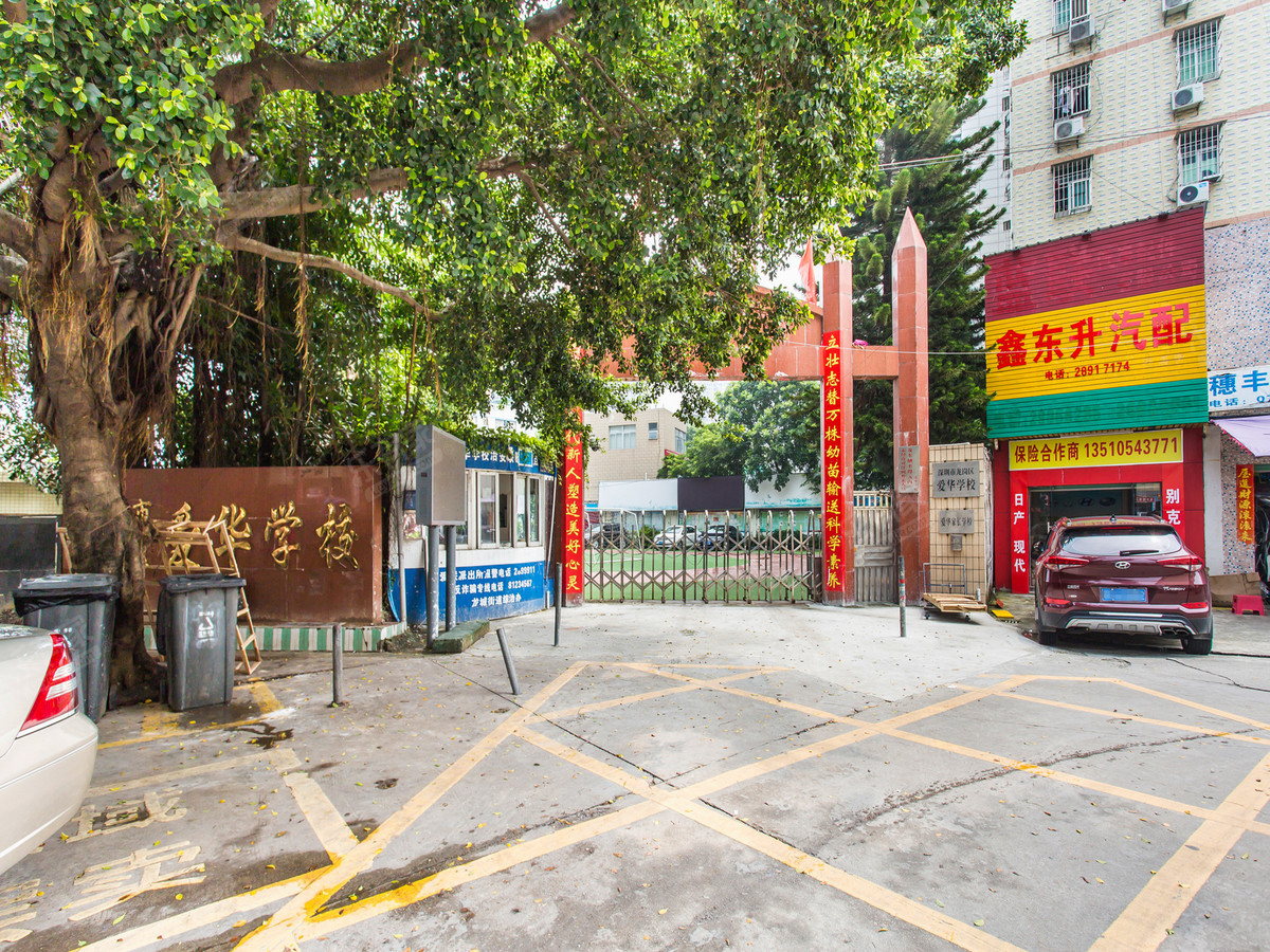 深圳爱华小学图片