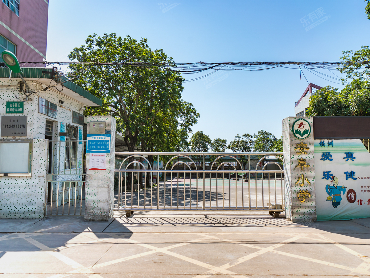 坦洲镇安阜小学_中山学校