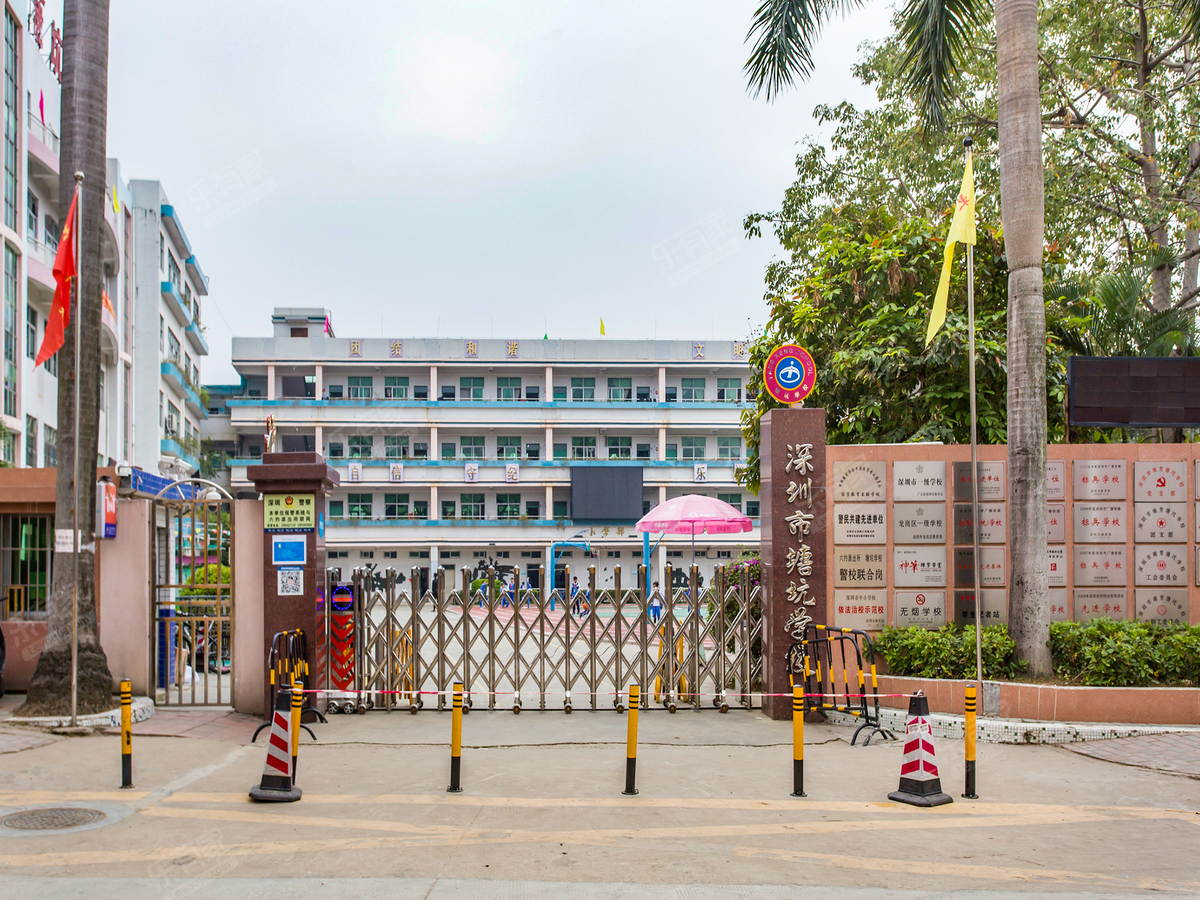 南芳塘坑学校_深圳学校