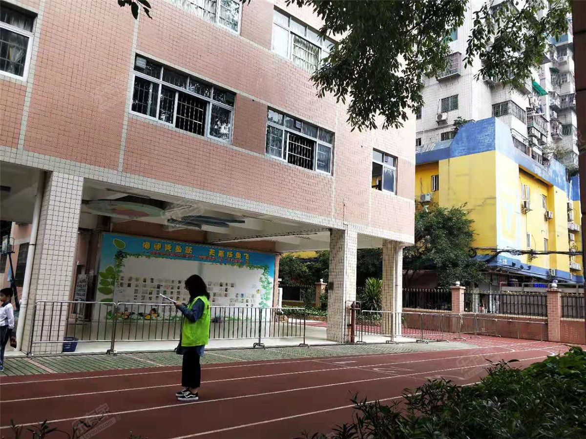 珠光路小学图片图片