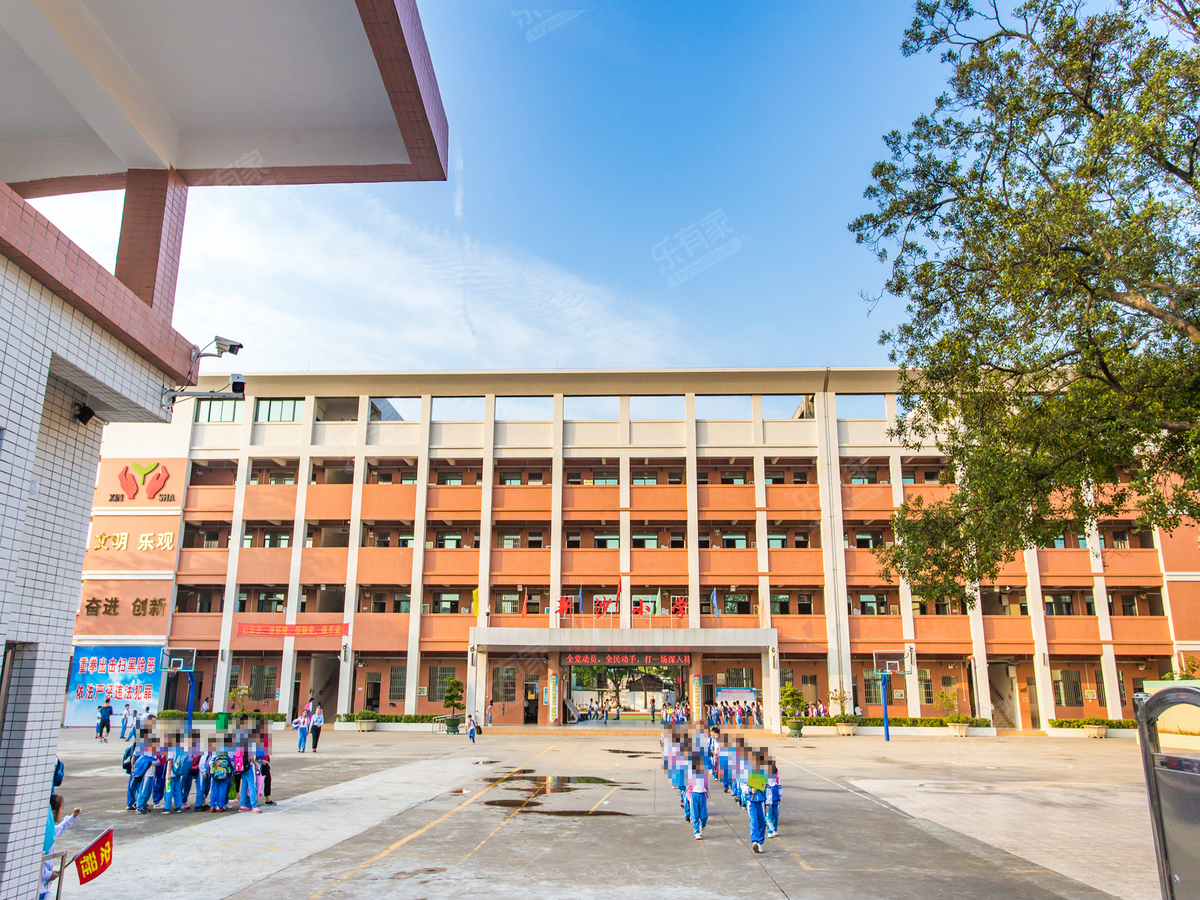 黄圃镇新沙小学