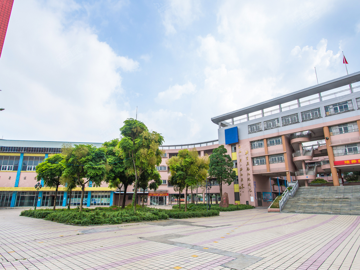 小榄福兴小学图片,小学图片学校_大山谷图库