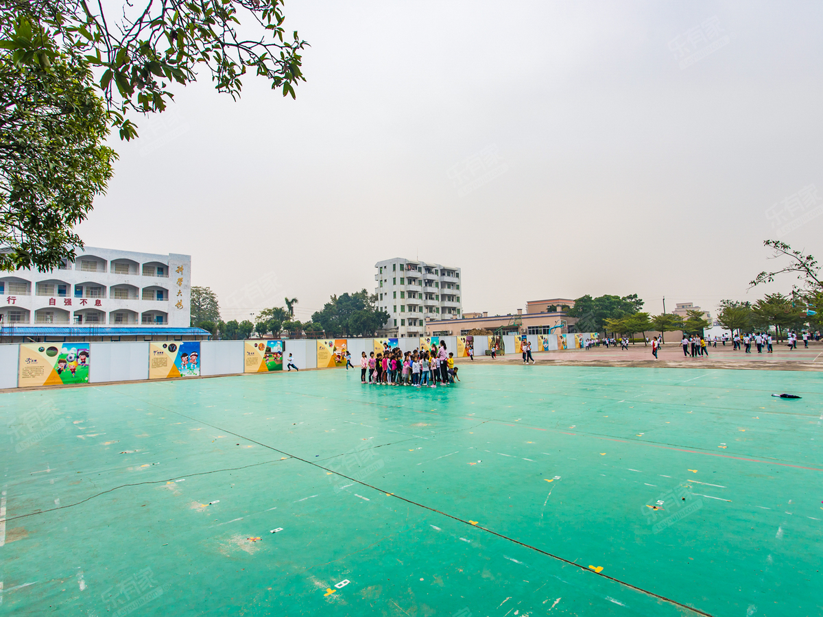 横栏镇宝裕小学_中山学校