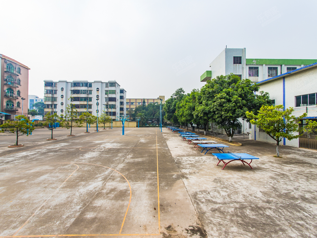 中山横栏中学图片