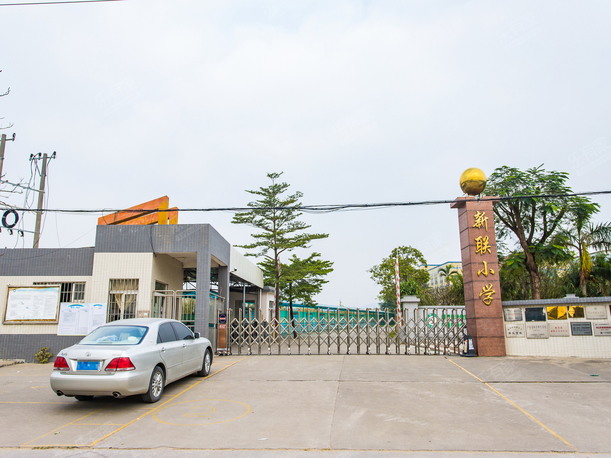 三角镇新联小学