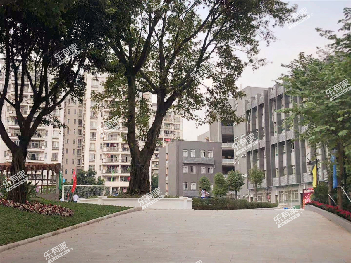 广州市第九十八中学图片