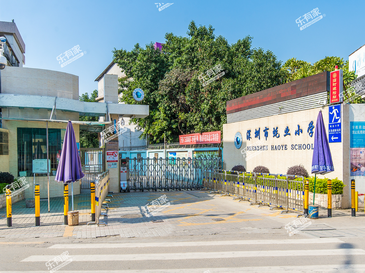 蚝业小学_深圳学校