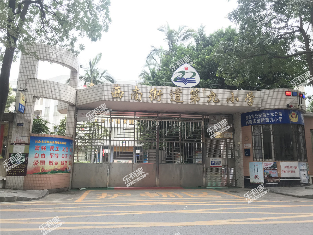 西南街道第九小学