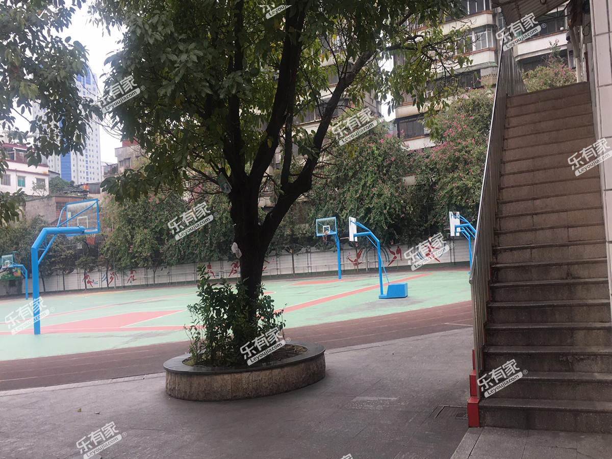 元甲小学_佛山学校