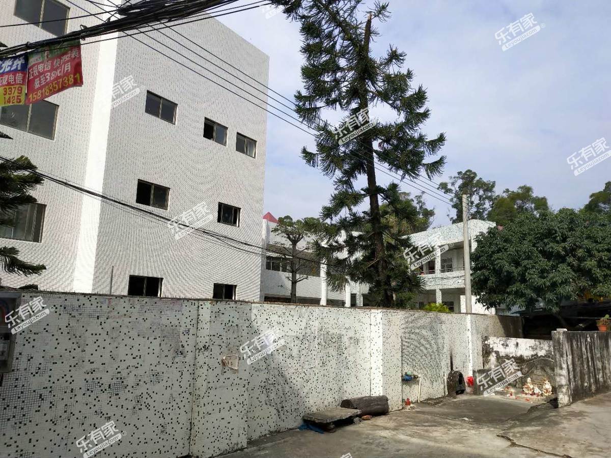 教学楼