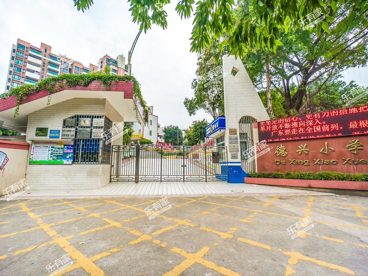 德兴小学_江门学校