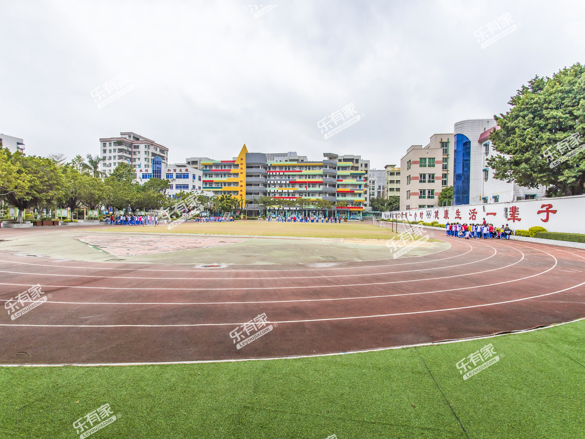 佛山罗村中心小学图片