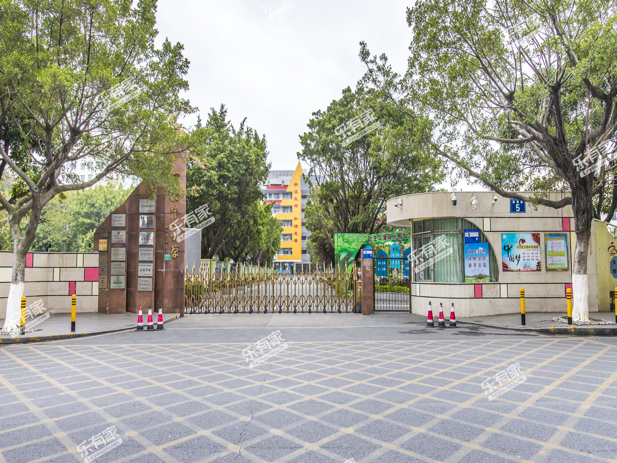 佛山罗村中心小学图片