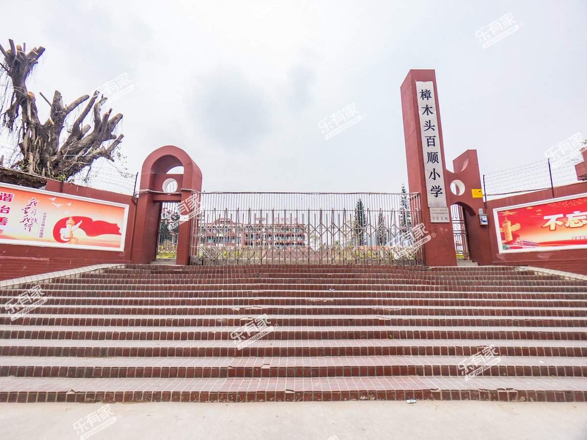 樟木头百顺小学