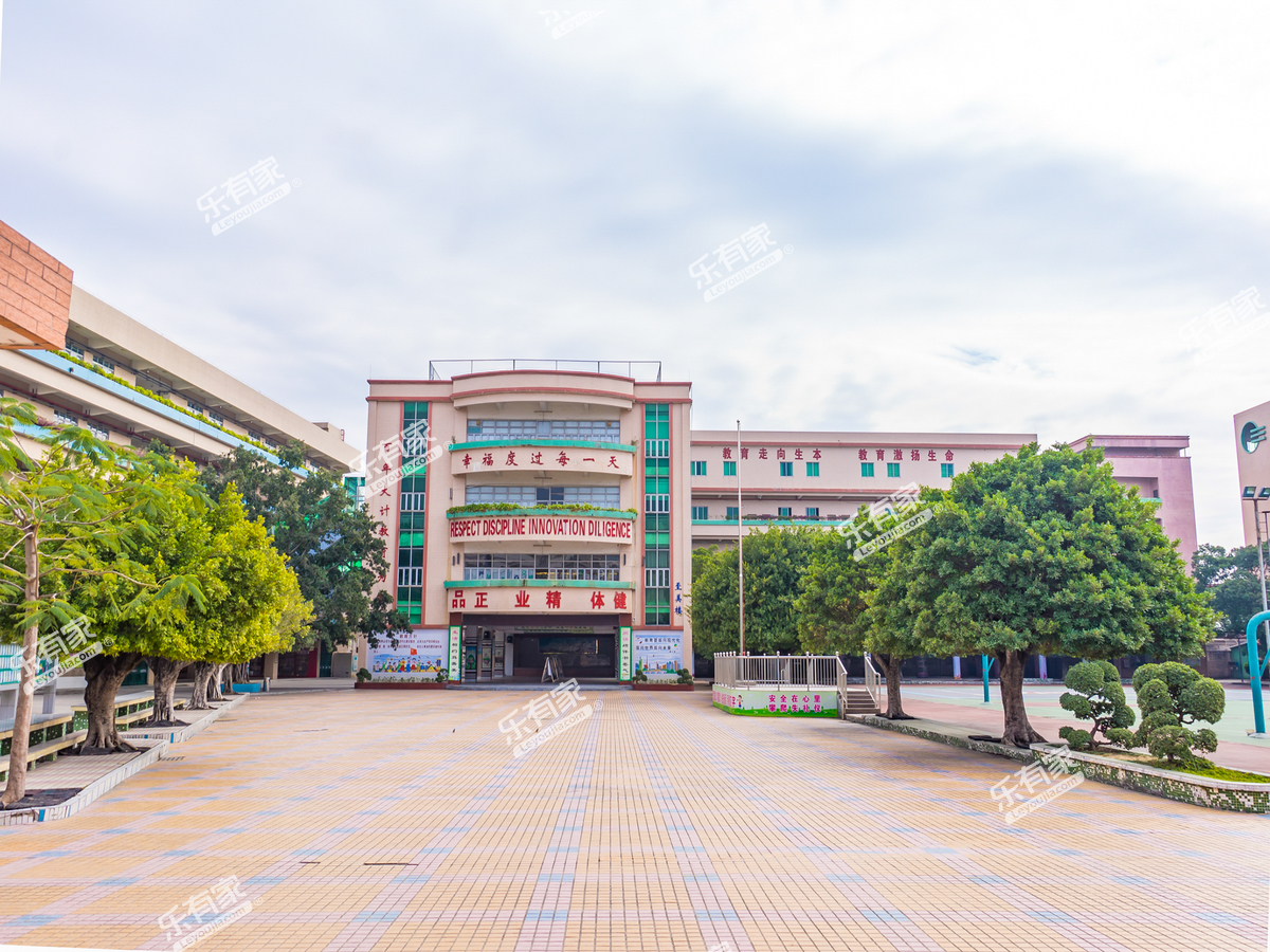 东莞市万江智新小学招聘主页-万行教师人才网